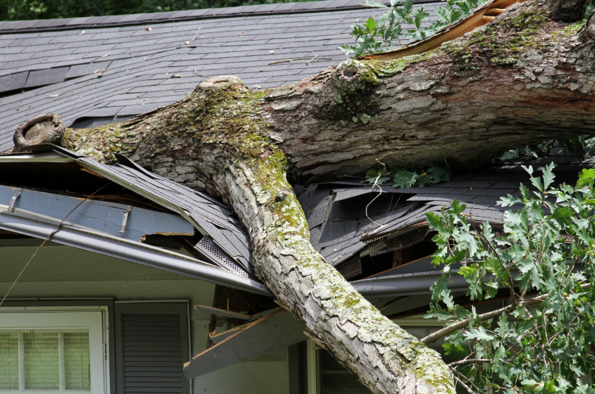 Storm and Hail Damage in Allen, TX