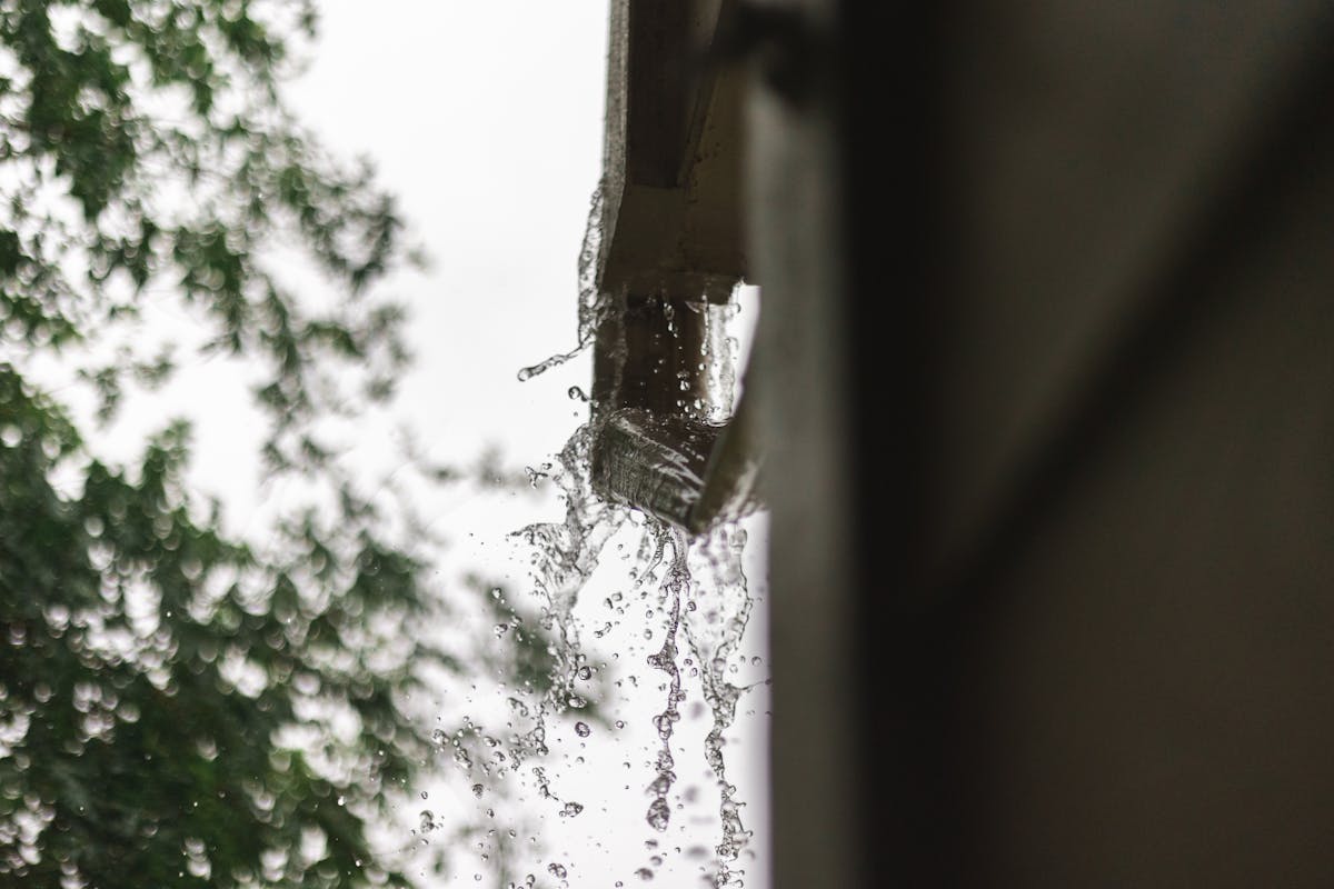 a water on a roof's gutter