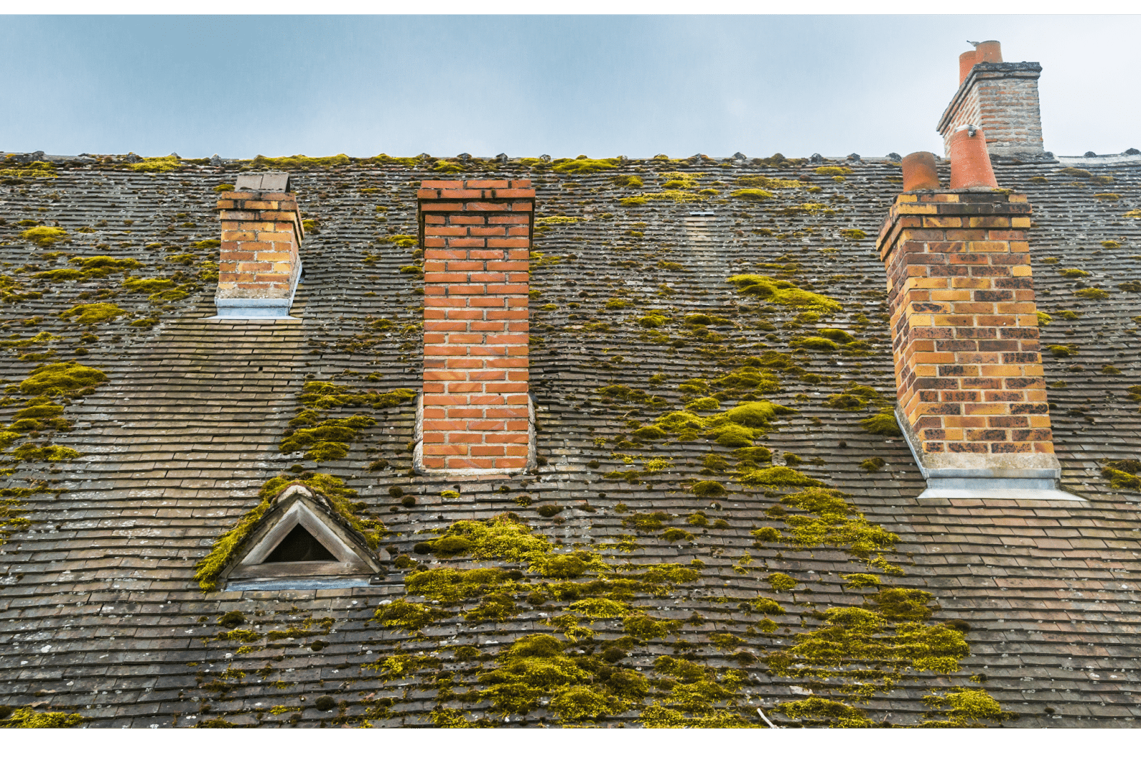 a house with a moss on its roof