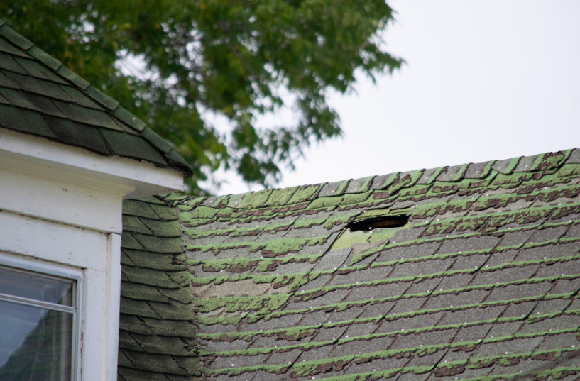 rotting roof