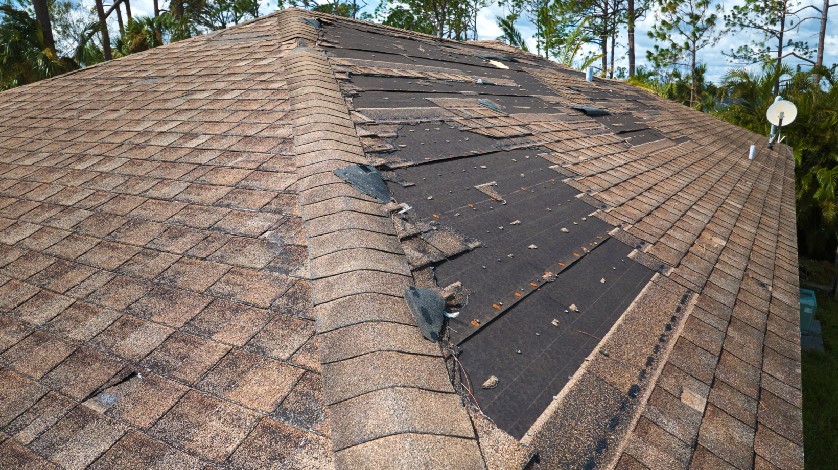 How To Spot Or Identify Wind-Damaged Shingles On Your Roof