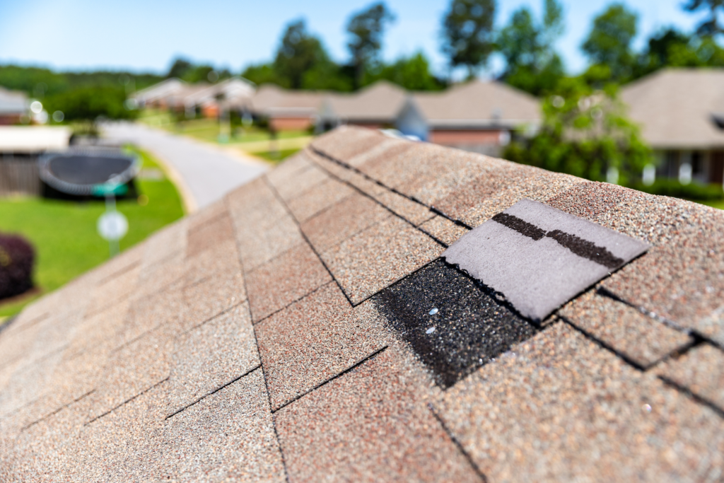 Roof wind damage shingle 1