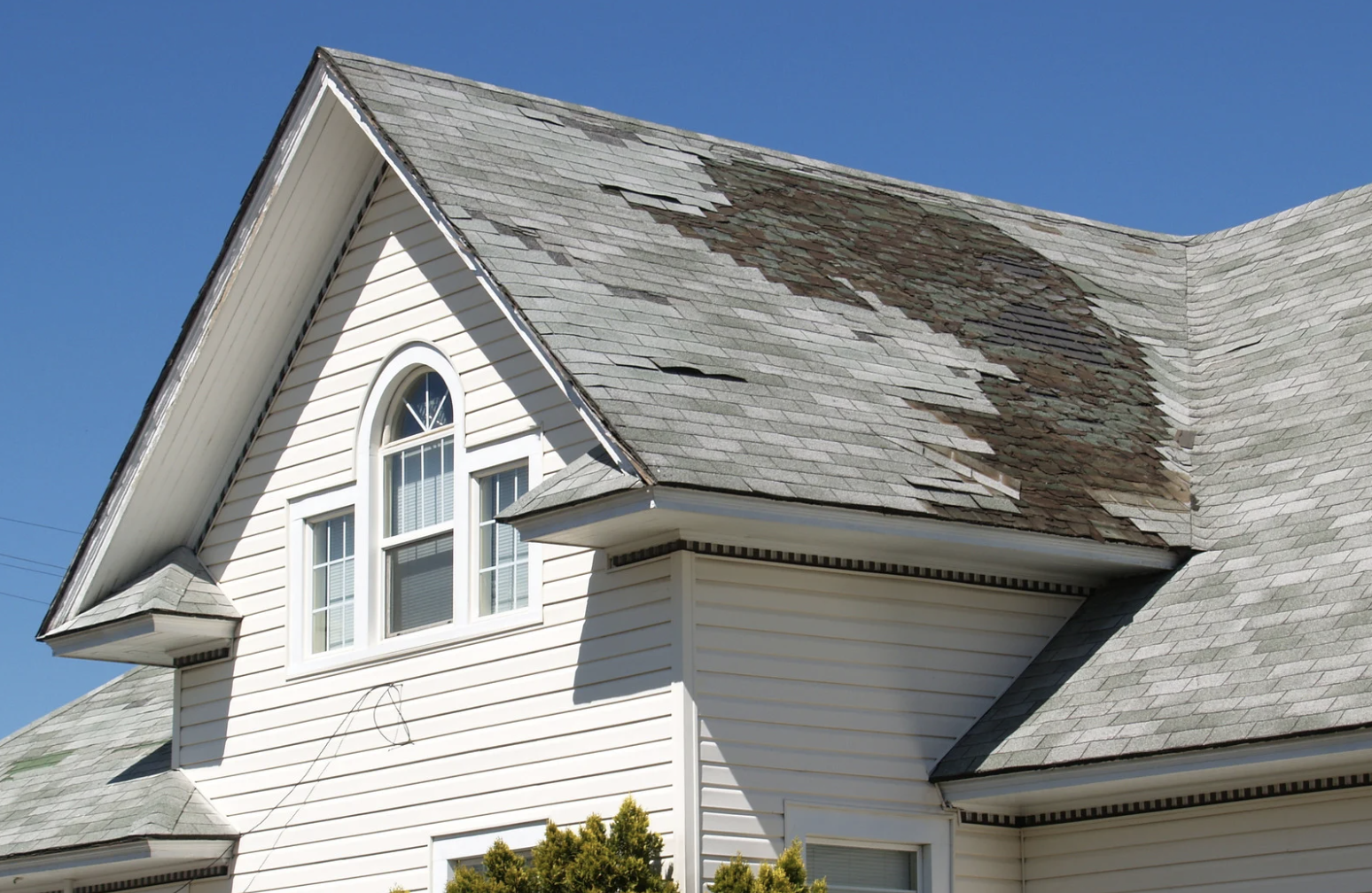 7 Common Types of Shingle Damage: How to Identify and Address Shingle Roof Problems
